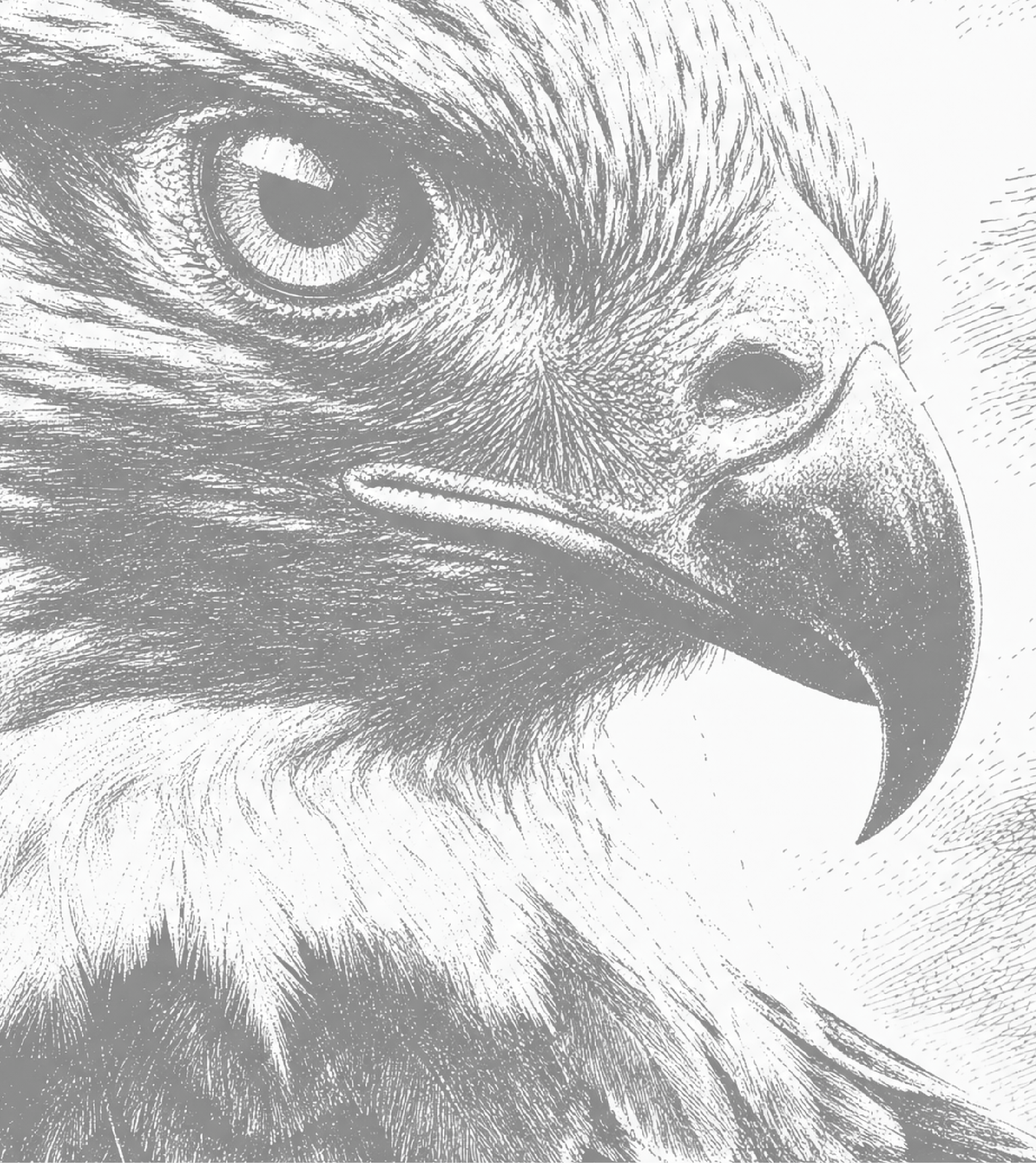 Falcon mark, engraved detail