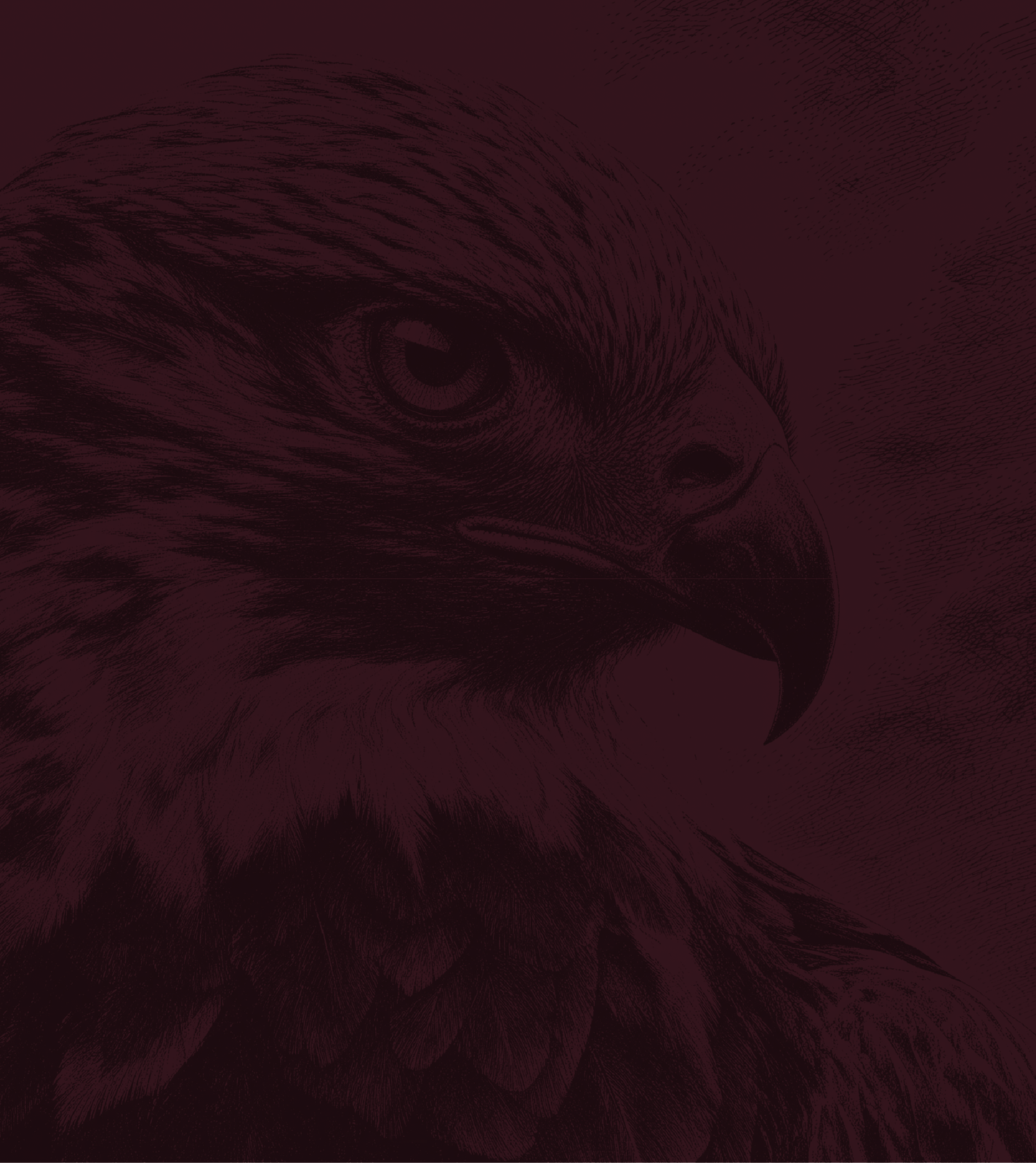 Falcon mark on oxblood