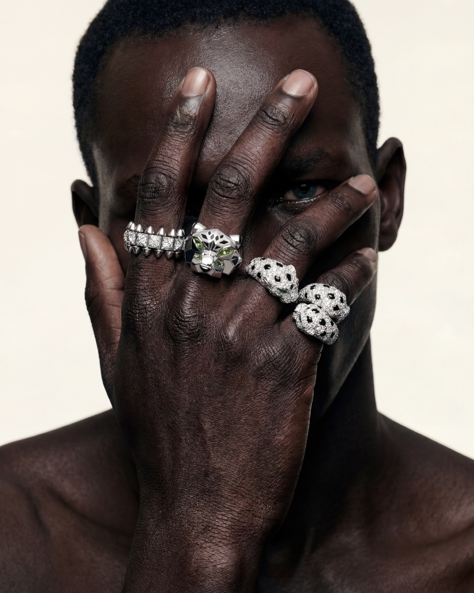 Cartier Panthere speculative campaign, panther rings across a hand