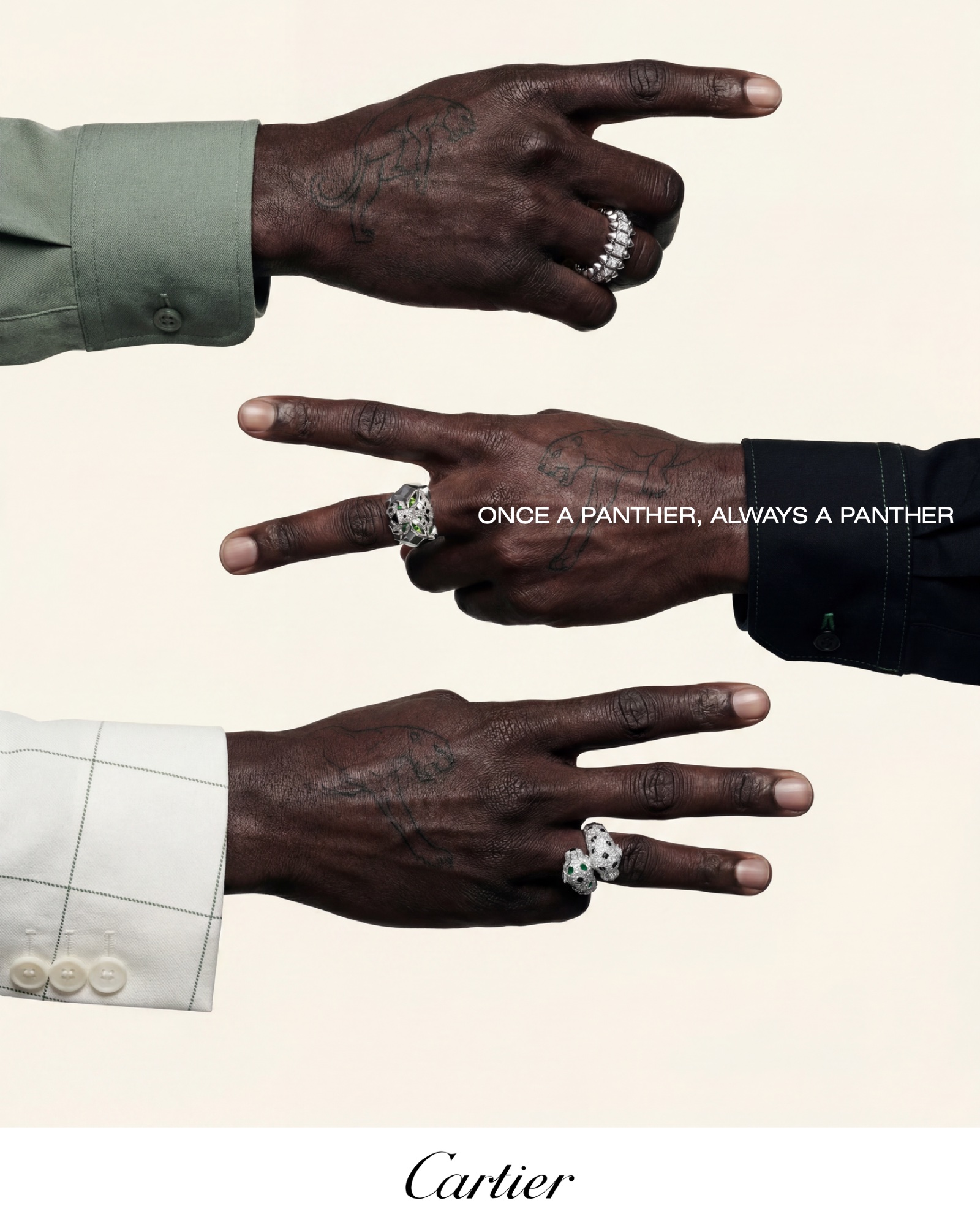 Campaign key visual: three hands entering the frame, each wearing a panther ring