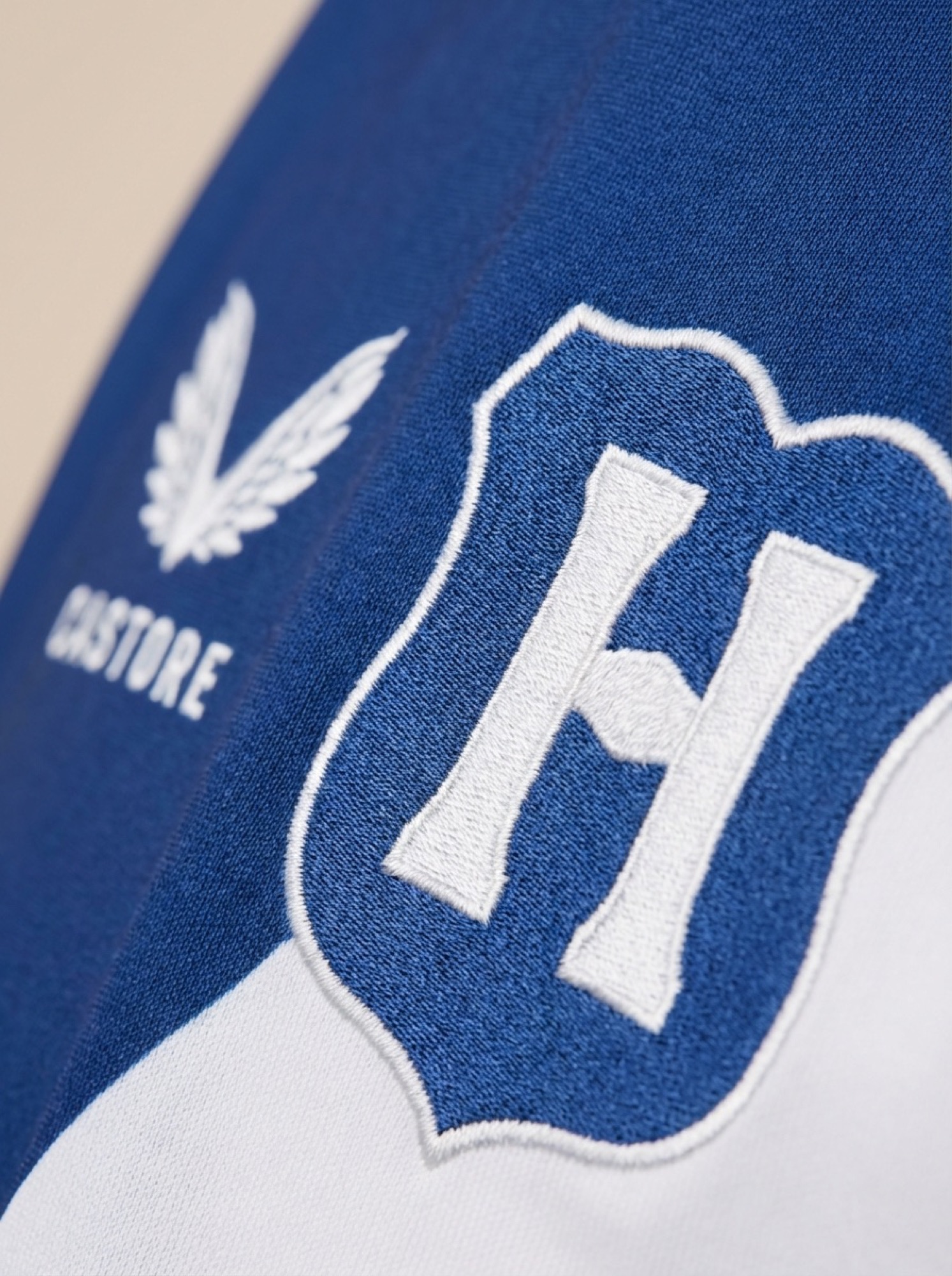 Macro of the embroidered Hertha BSC crest and Castore wing mark