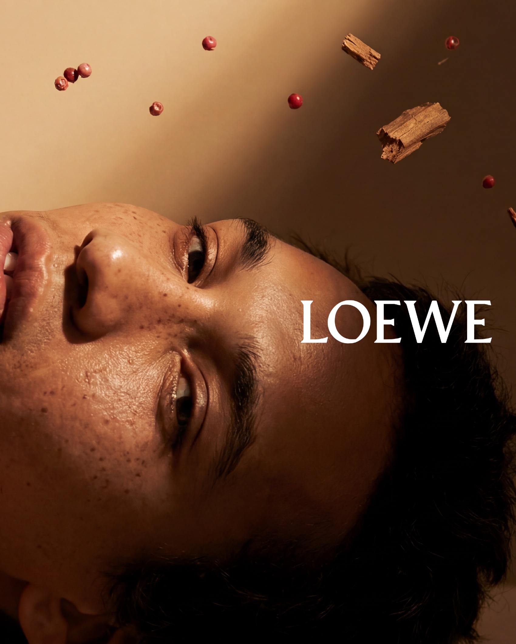 Reclined portrait, ingredients falling above the face, the house mark set in the frame