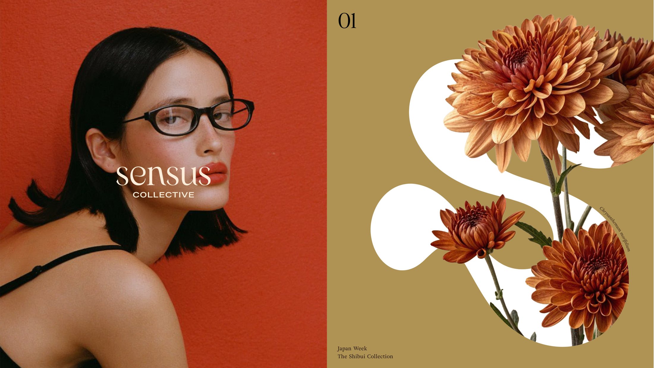 Seasonal edit, portrait beside the monogram filled with chrysanthemums