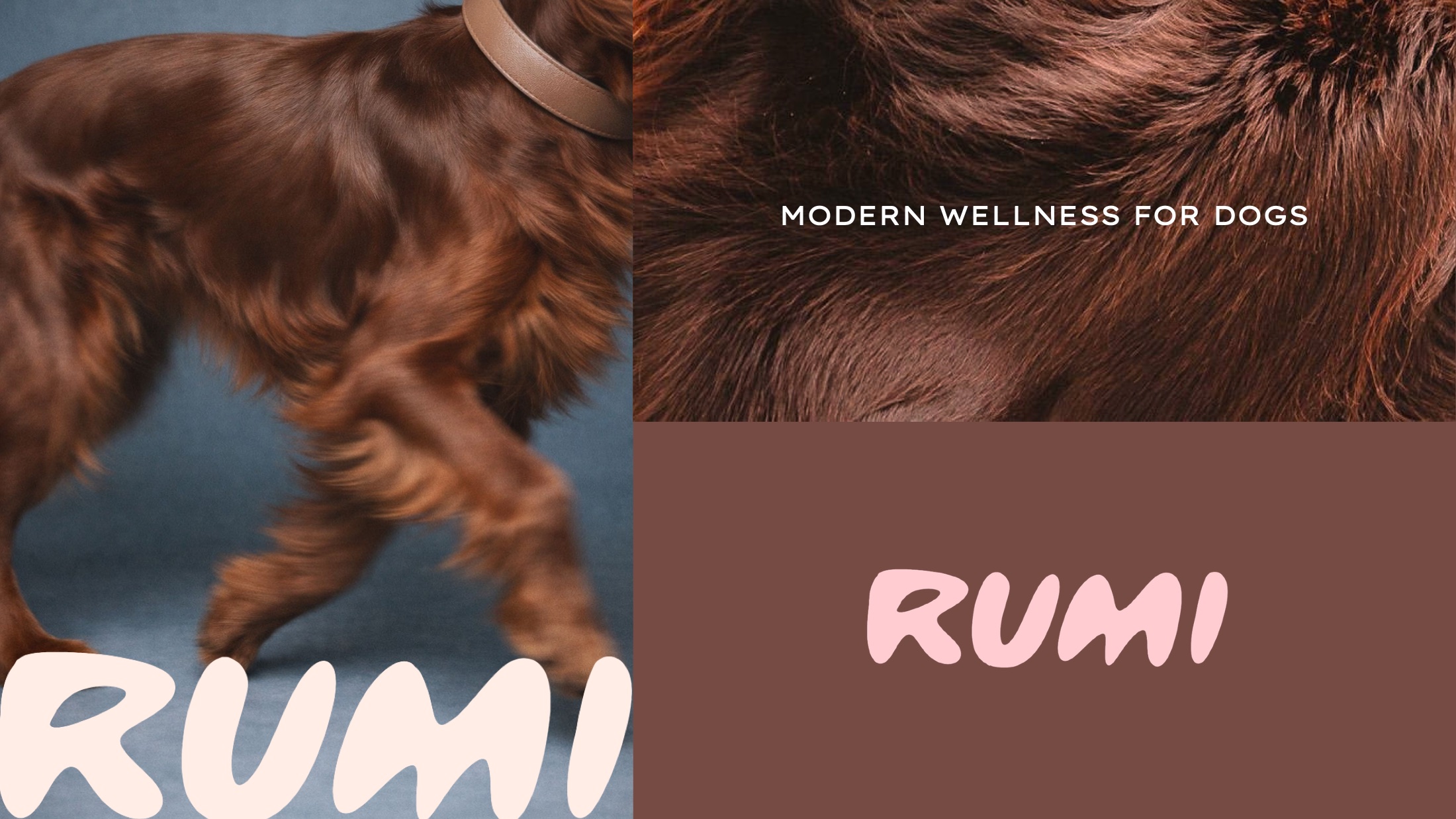 RUMI brand spread: coat detail beside the wordmark