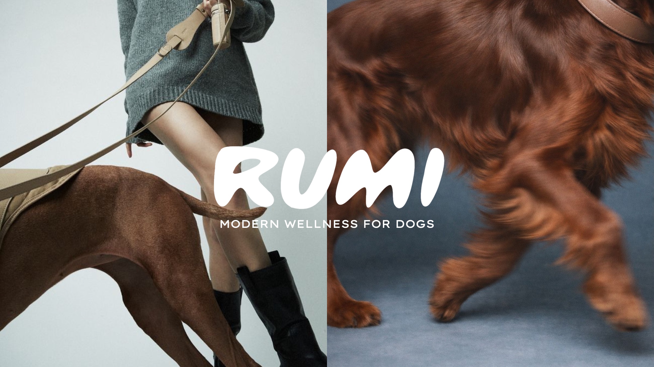 RUMI Dogs, modern wellness for dogs