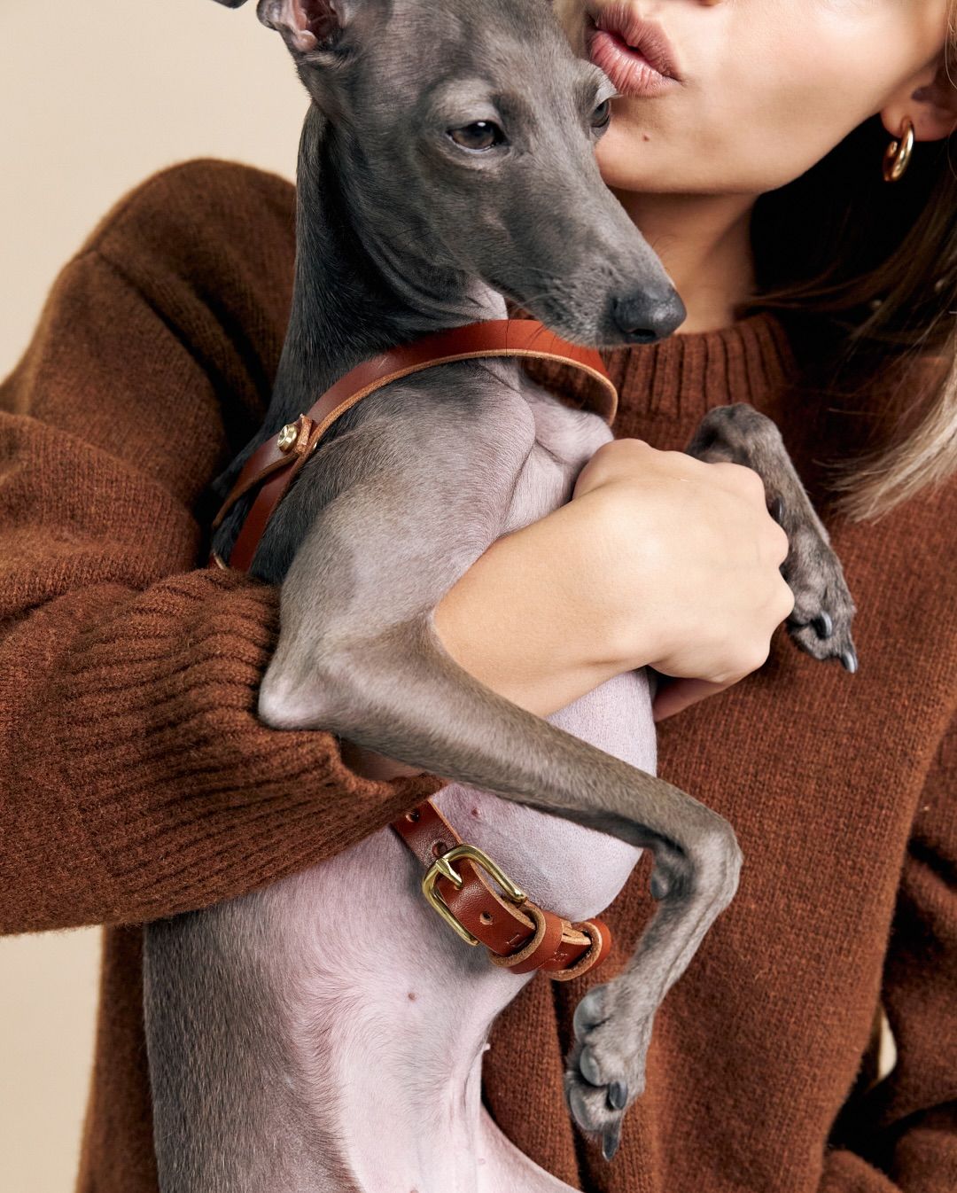 RUMI owner and dog photography